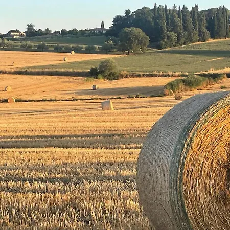 Trasimeno Castiglione del Lago